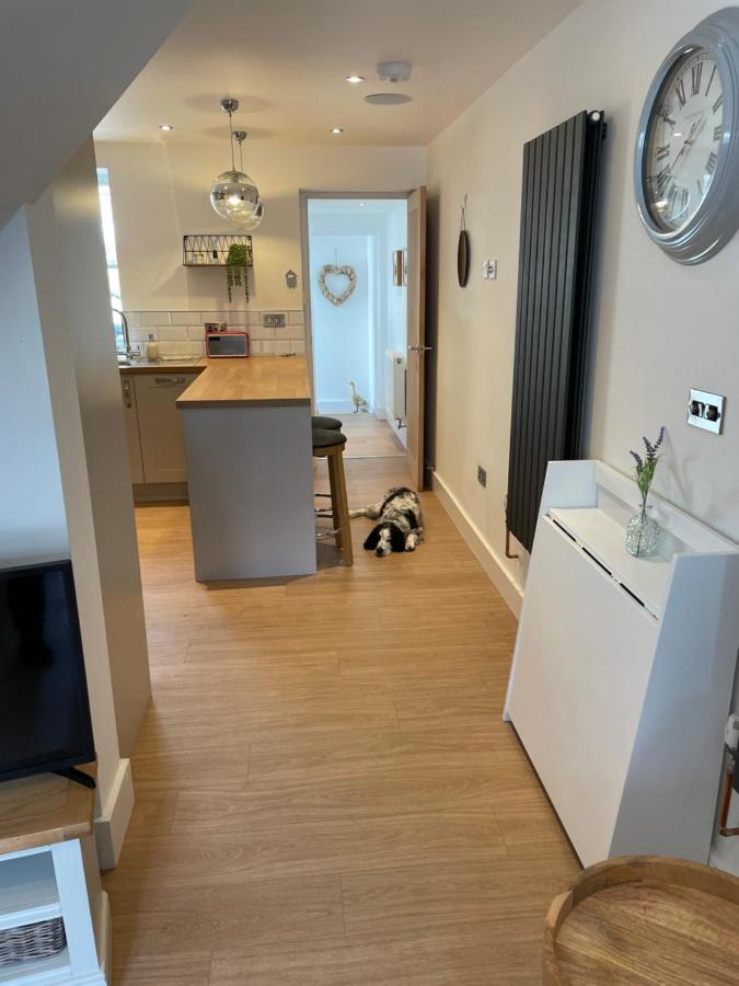 St Reatham Cottage Kilmington  外观 照片