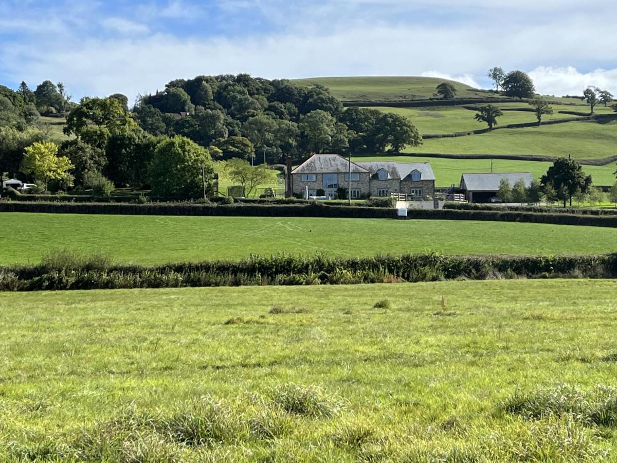 St Reatham Cottage Kilmington  外观 照片